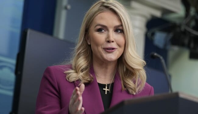 Karoline Leavitt Notices the Dark Side of the Democrat Base and Now They’re Going Ballistic – PJ Media