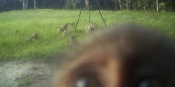 Mississippi’s Mini ‘Outbreak’ – PJ Media