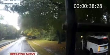 Dashcam video from the commercial truck showed the actor's vehicle hitting a mail box and a tree.