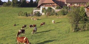 No Truth Allowed in Switzerland Now – HotAir