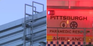 A videographer fell about 50 feet from a scoreboard Saturday night, sustaining critical injuries.