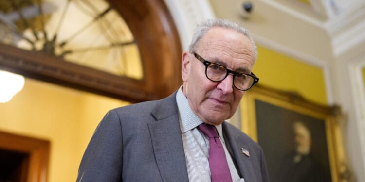 Schumer's Shutdown Strategy Makes No Sense