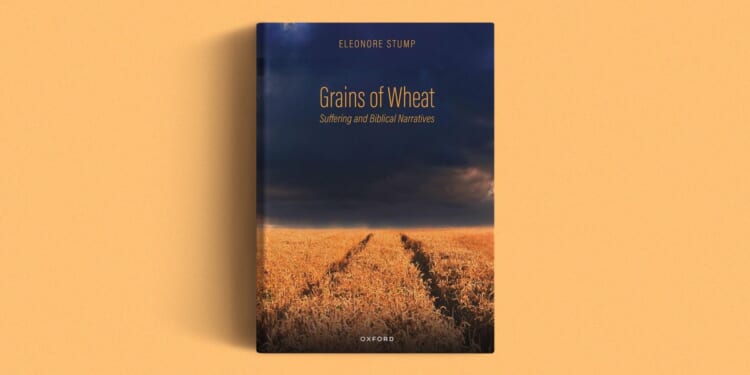 Suffering Comes in Many Forms. So Does Theodicy.