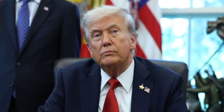 The Academic Left Thinks a Loss of Power Means War