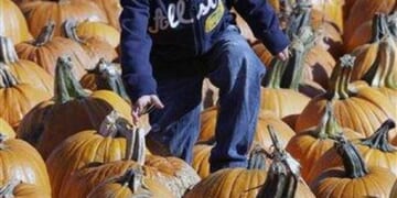 The Jihadi Animals Want Your Kids Dead – PJ Media