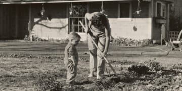 You Don’t Have to Be Radical