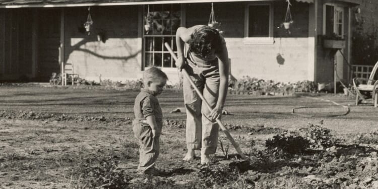 You Don’t Have to Be Radical