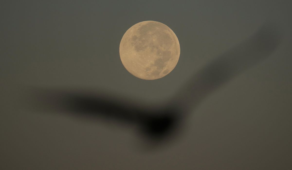 November's supermoon will be the closest of the year