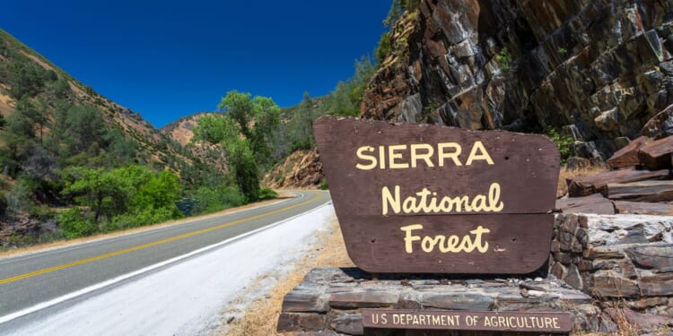 Hunter missing for almost 3 weeks found alive in California's Sierra National Forest