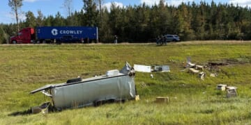 Mississippi pastor kills monkey that escaped from crashed truck; one still on the lam