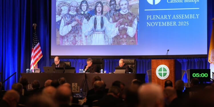 Bishops officially ban gender-affirming care at Catholic hospitals