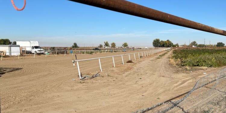 Federal judge orders release of 16 migrants detained in Idaho raid, citing due process violations