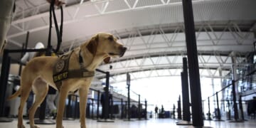 Man shot and killed after wielding a knife at St. Louis airport, police say