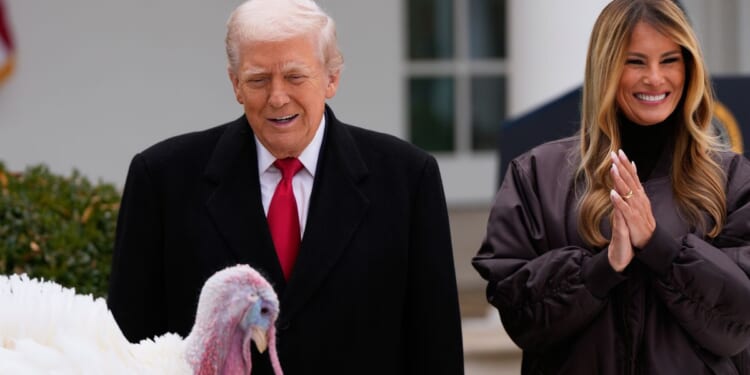 Trump pardons Gobble and Waddle from a fate at the Thanksgiving table