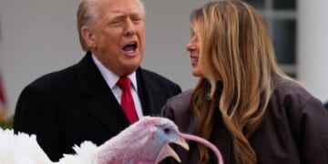 Leftists call for Black Friday shopping boycott against companies with Trump ties