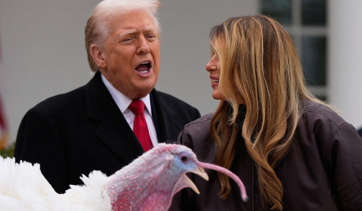 Leftists call for Black Friday shopping boycott against companies with Trump ties