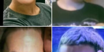 Grandmother and 3 grandchildren who went missing on hike in South Carolina found by rescuers