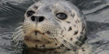 50-Year Mortgages Are a Horrific Idea – HotAir