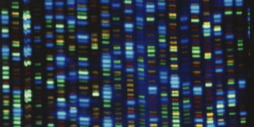 A Child's Murder Finally Solved After 63 Years – HotAir