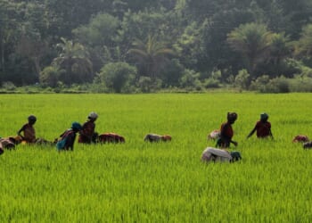 A Pastor Stood Up to Persecution in India. Christianity Spread.