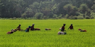 A Pastor Stood Up to Persecution in India. Christianity Spread.