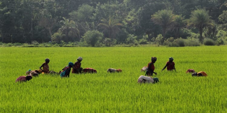 A Pastor Stood Up to Persecution in India. Christianity Spread.