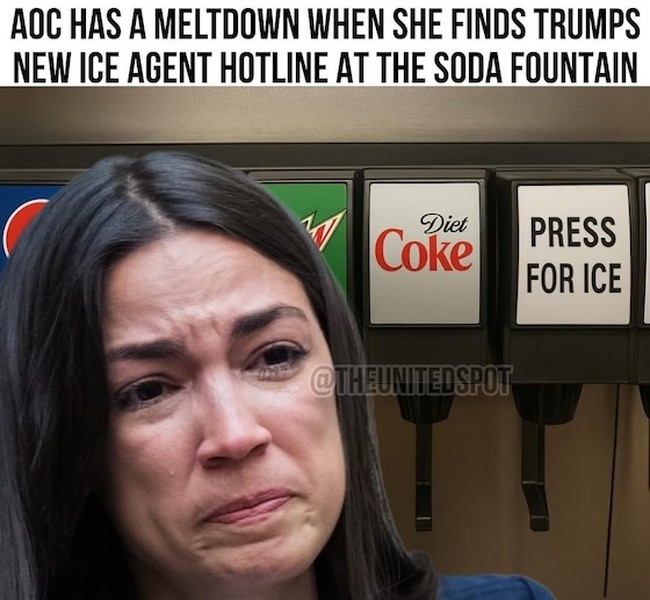 AWFL Convinced That She Can Break the Law Because 'I'm Just a Mom' – HotAir