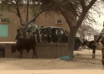 Christians Face Genocide from Nigerian Warlords – American Free Press