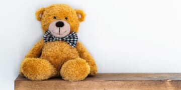 A children's toy in front of a white background.