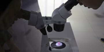 DOJ Arrests U.S. Citizens and Chinese Nationals for Exporting AI Tech to China – PJ Media