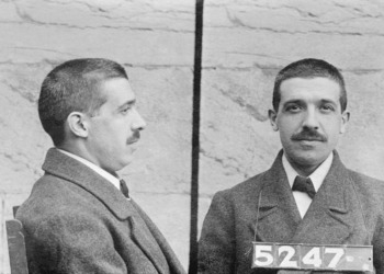 Everybody Loves a Ponzi - The Daily Reckoning