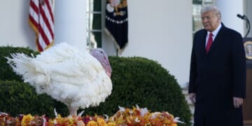 Handicapping the Thanksgiving Turkey Pardons – HotAir