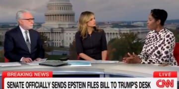 Del. Stacey Plaskett gave an uncompelling explanation on Nov. 19, 2025, for her 2019 text exchanges with Jeffrey Epstein.