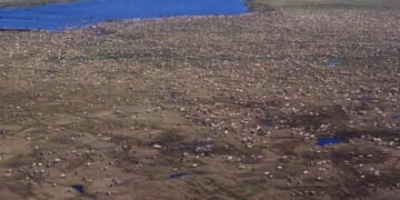 How Trump Reasserted America’s Control Over Energy – PJ Media