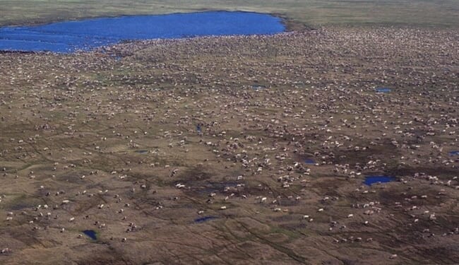 How Trump Reasserted America’s Control Over Energy – PJ Media