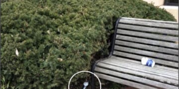 J6 Pipe Bomber Identified? The Blaze Claims It Found a Match – PJ Media