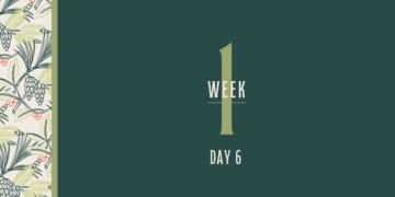 Living in the Dark Space