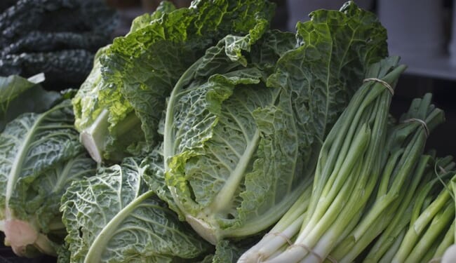 Local NC Farm Steps Up Amid Schumer Shutdown – PJ Media