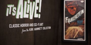 NJ Organ Donor Org Accused of Ignoring Cardinal Rule of Collection – HotAir