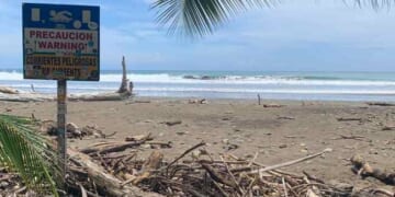 Petro Probably Most Hurt) – PJ Media