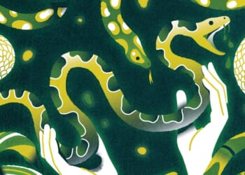 Picking up Snakes and Putting Down Roots