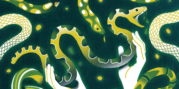 Picking up Snakes and Putting Down Roots