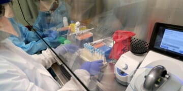 Something We Can All Be Thankful For – HotAir