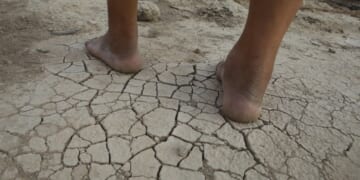 Tehran Bone Dry and Tapping Out – HotAir