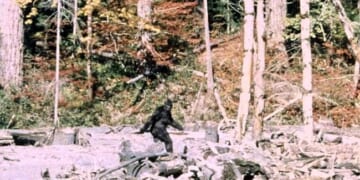 The Hunters Have a Point – PJ Media