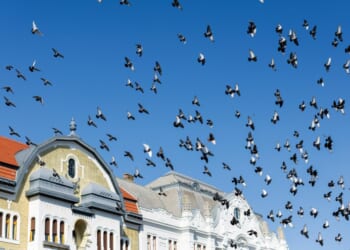 The Will of God Is a Place