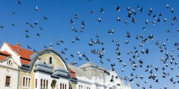 The Will of God Is a Place