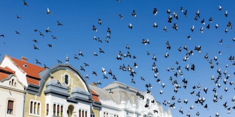 The Will of God Is a Place