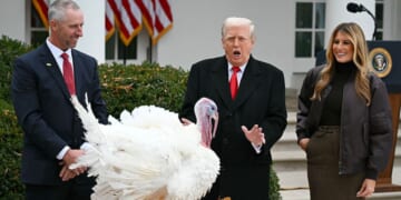 First Lady Melania Trump looks on as President Donald Trump pardons Gobble, one of the National Thanksgiving turkeys, during the White House turkey pardon ceremonyTuesday.