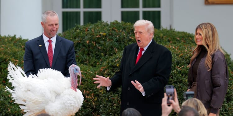 President Donald Trump pardons National Thanksgiving Turkey Gobble alongside First Lady Melania Trump during the 78th annual National Thanksgiving Turkey Presentation in the Rose Garden of the White House on Nov. 25, 2025, in Washington, D.C.